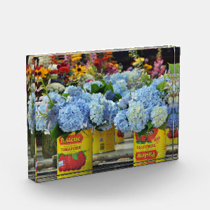 Bloc Photo Hydrangées et fleurs fraîches dans les boîtes à to