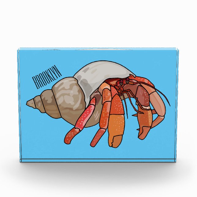 Bloc Photo Illustration de crabe ermite (Devant)