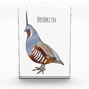 Bloc Photo Illustration d'oiseau de caille de montagne
