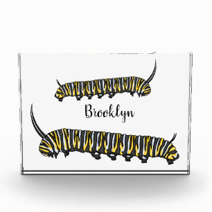 Bloc Photo Illustration Monarch caterpillar