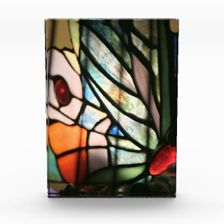 Bloc Photo Impression Papillon en verre tendu