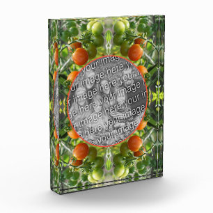 Bloc Photo Jardin Cerisier Tomates Cadre Ajouter Votre Propre
