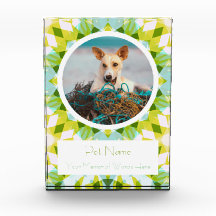 Joli Cadeau Mémorial de Chat Chien de Compagnie Bl