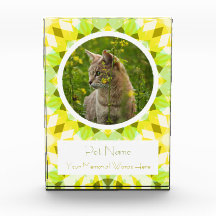 Joli Vert Jaune Animal de Compagnie Chat Chien Mém