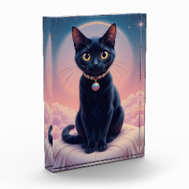 Bloc Photo La Reine Du Ciel De Chat Noir