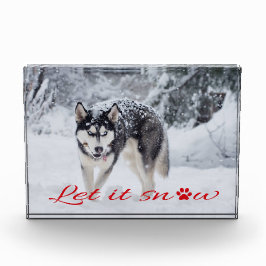 Bloc Photo Laisser neiger