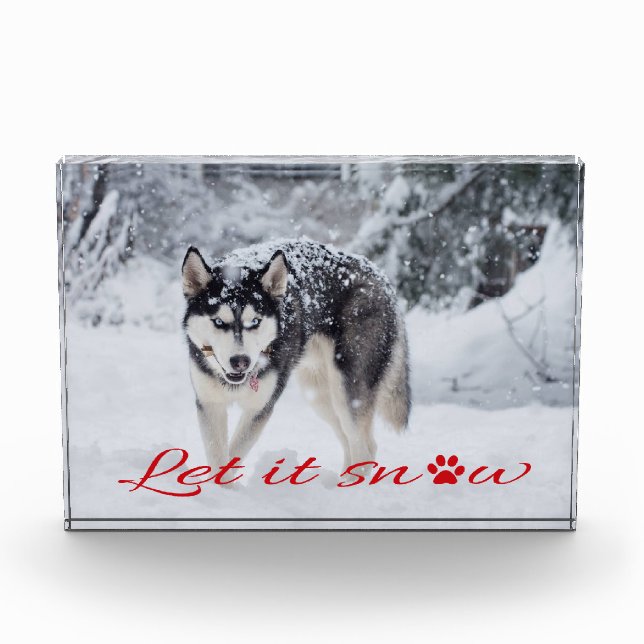 Bloc Photo Laisser neiger (Devant)