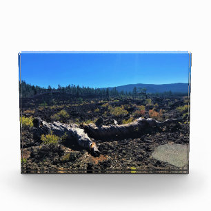 Bloc Photo Lava Cast Forest, OR