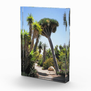 Bloc Photo Le Cactus Garden Balboa Park
