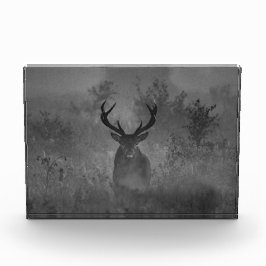 Bloc Photo Le Cerf Dans La Mist