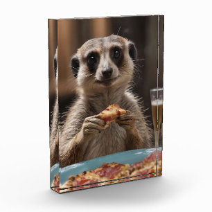 Bloc Photo Le Déjeuner De Meerkat Sneaky,