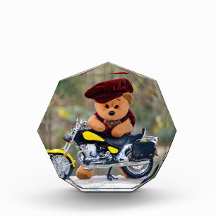 Bloc Photo Le motard - Teddy -
