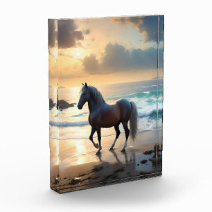 Bloc Photo Le Palomino Horse Sur La Plage,