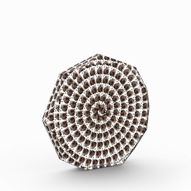 Bloc Photo Le tourbillon de Wombat : une spirale de merveille (Gauche)