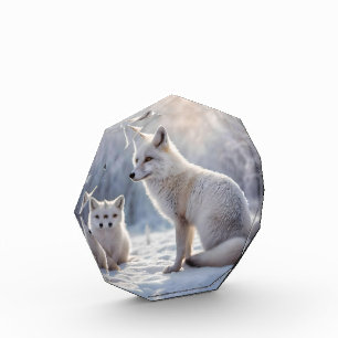 Bloc Photo "Les obligations décongelées : le renard arctique 