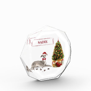 Bloc Photo Lévrier Italien Drôle de Noël Chien avec Arbre