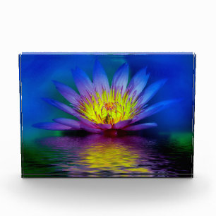 Bloc Photo Lotus