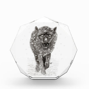 Bloc Photo Loup noir en colère dans la neige, hiver sauvage
