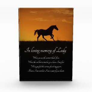 Bloc Photo Magnifique Mémorial du Cheval Spirituel Gratuit