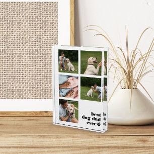 Bloc Photo Meilleur Chien Papa Jamais Collage