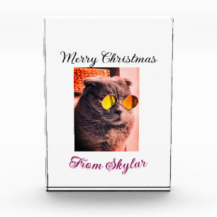 Bloc Photo Merveilleux chien de chat de Noël animal de compag
