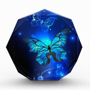Bloc Photo Morpho Butterfly in the Dark Background