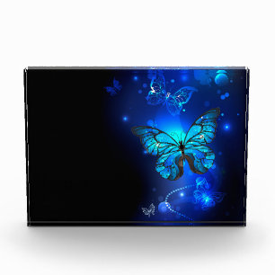 Bloc Photo Morpho Butterfly in the Dark Background