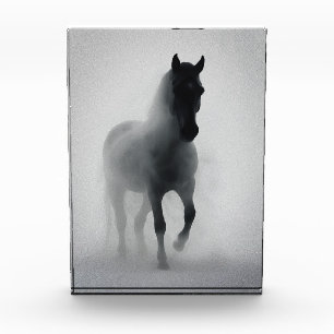 Bloc Photo Mystérieux cheval noir émergeant de la brume