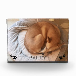 Bloc Photo Nom de la photo Pawprints Photo Block