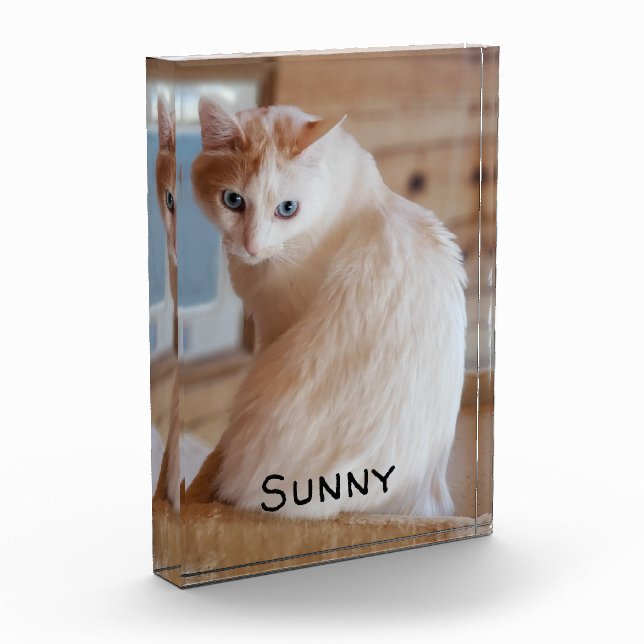 Bloc Photo Nom de l'image du chien de chat de familier Modèle (Gauche)