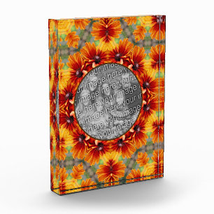 Bloc Photo Orange Black Eyed Susan Daisy Ajouter Votre