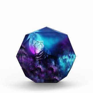 Bloc Photo Pandore dans la brume