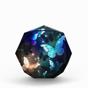 Bloc Photo Papillon de nuit