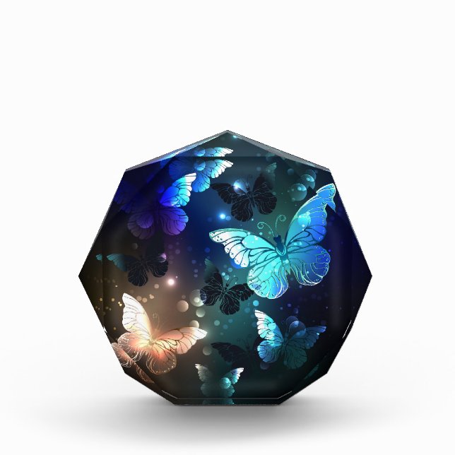 Bloc Photo Papillon de nuit (Devant)