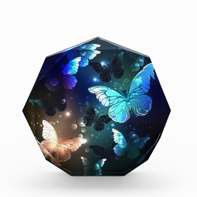 Bloc Photo Papillon de nuit (Devant)