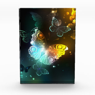 Bloc Photo Papillon lumineux et papillons de nuit