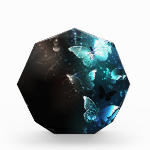 Bloc Photo Papillons de nuit