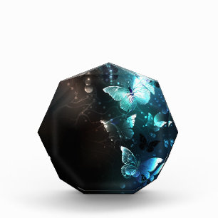 Bloc Photo Papillons de nuit