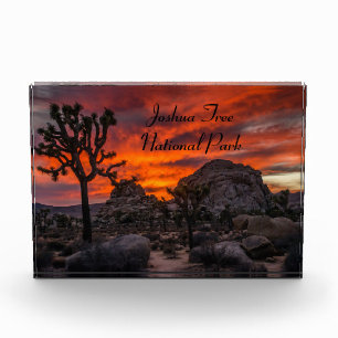 Bloc Photo Parc national de Joshua Tree Coucher de soleil rou