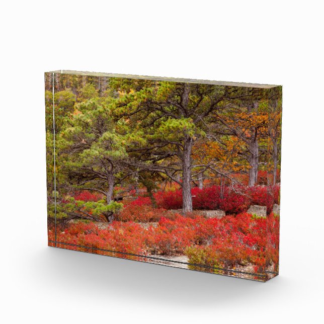 Bloc Photo Parc national de l'Acadie, Maine (Droite)