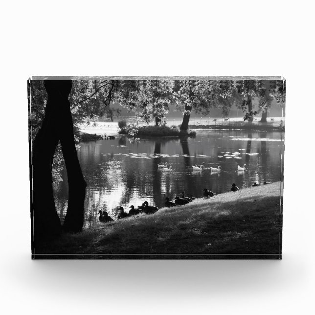 Bloc Photo Park Life (Devant)