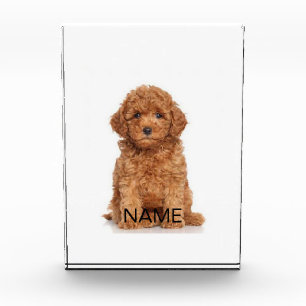 Bloc Photo Personnaliser personnalisation avec photo, nom blo