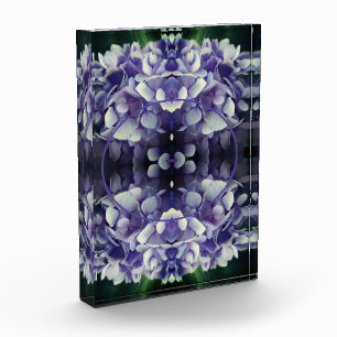 Bloc Photo Pétales Blue Hydrangea Ajouter Votre Propre