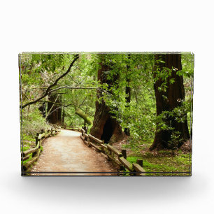 Bloc Photo Photographie de la nature du chemin Muir Woods II