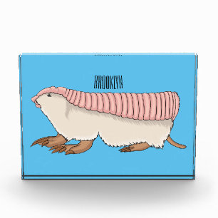 Bloc Photo Pink fairy armadillo cartoon illustration
