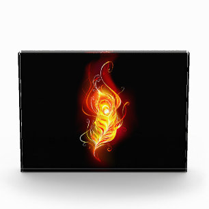 Bloc Photo Plumes de paquetage de feu