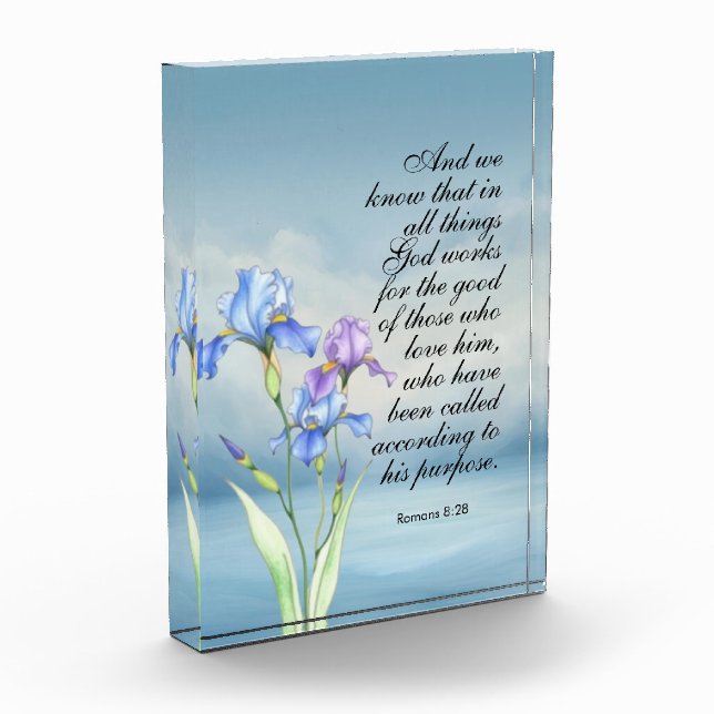 Bloc Photo Poids (Gauche)