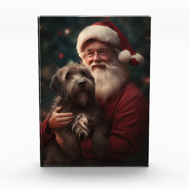 Bloc Photo Pointeur à poils durs Griffon Noël du Père Noël (Devant)