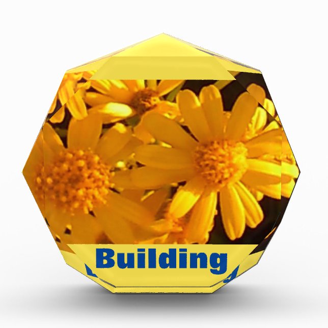 Bloc Photo Publicité Bâtiment de tournesol (Devant)
