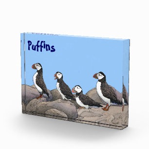 Bloc Photo Puffins de l'Atlantique
